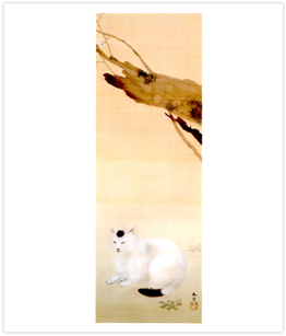 菱田春草　白き猫